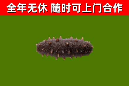 冠县烟酒回收干海参.jpg